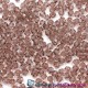 700pcs Chinese Crystal 4mm Bicone Beads,lt amethyst, AAA quality